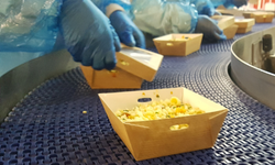 Food Industry Capacity and Skill Initiative 